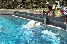 Marineland of Canada