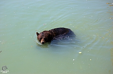 Marineland of Canada