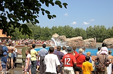Marineland of Canada