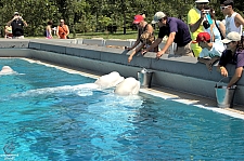 Marineland of Canada