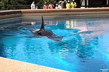 Marineland of Canada