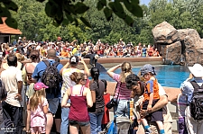 Marineland of Canada