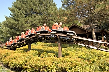 Lady Bug Coaster