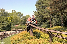 Lady Bug Coaster