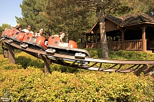 Lady Bug Coaster