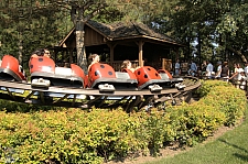 Lady Bug Coaster
