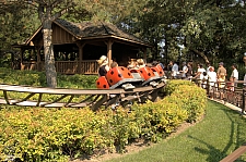 Lady Bug Coaster