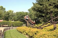 Lady Bug Coaster