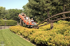 Lady Bug Coaster