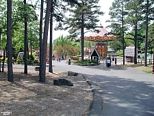 Magic Springs