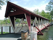 Magic Springs