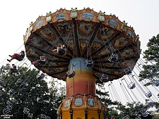 Rides