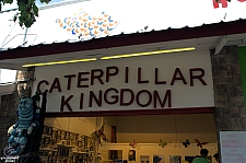 Minnesota State Fair