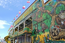 Monkey Maze