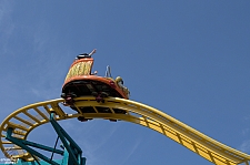 Crazy Mouse