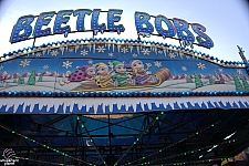 Beetle Bobs