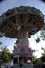 Wave Swinger