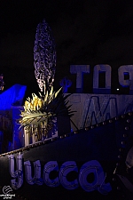 Neon Museum