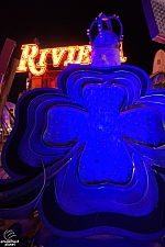 Neon Museum