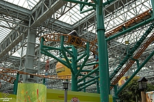 Fairly Odd Coaster