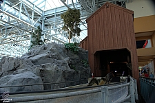 Log Chute