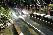 Log Chute