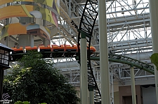 Pepsi Orange Streak