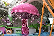 Rides