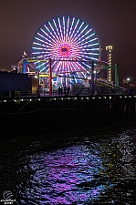 Pacific Wheel