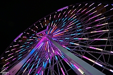 Pacific Wheel