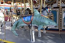 Carousel