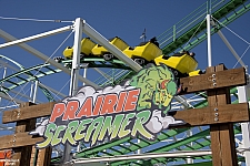 Prairie Screamer