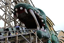 Dragon Coaster