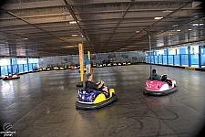 Bumper Cars