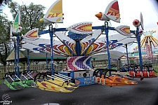 Kite Flyer