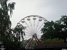 Gondola Wheel