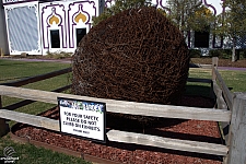 Sculpture Garden