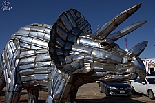 Sculpture Garden