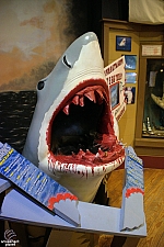Ripley's Believe It or Not!