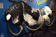 Ripley's Believe It or Not!