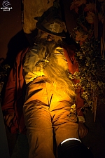 Louis Tussaud's Palace of Wax