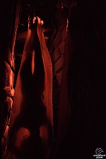 Louis Tussaud's Palace of Wax