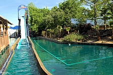 Log Flume