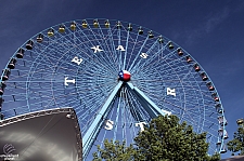 Texas Star