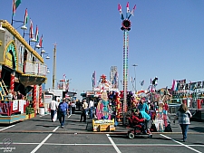 San Antonio Stock Show & Rodeo