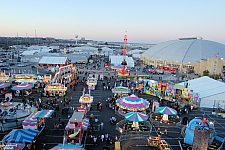 San Antonio Stock Show & Rodeo