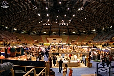 San Antonio Stock Show & Rodeo