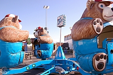 Bear Affair