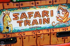 Safari Train