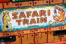 Safari Train